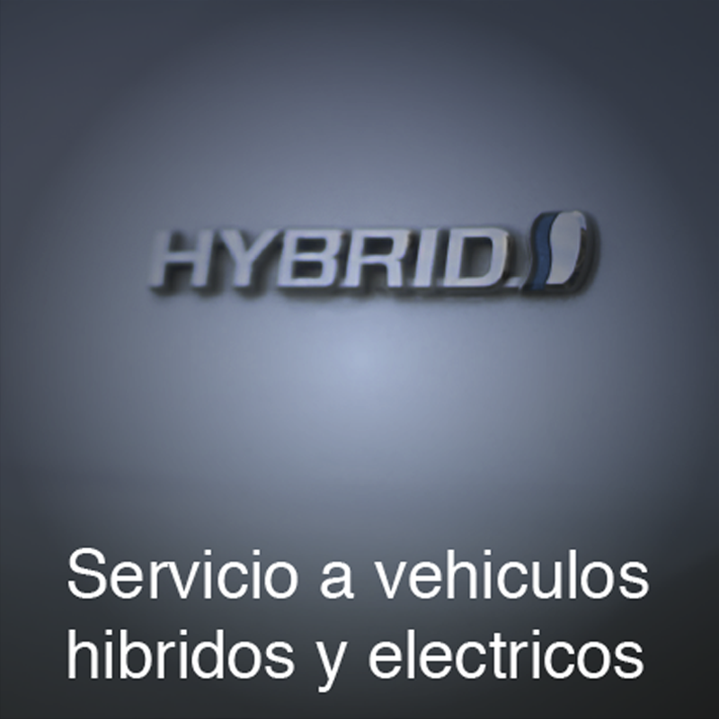 Servicio_mayor